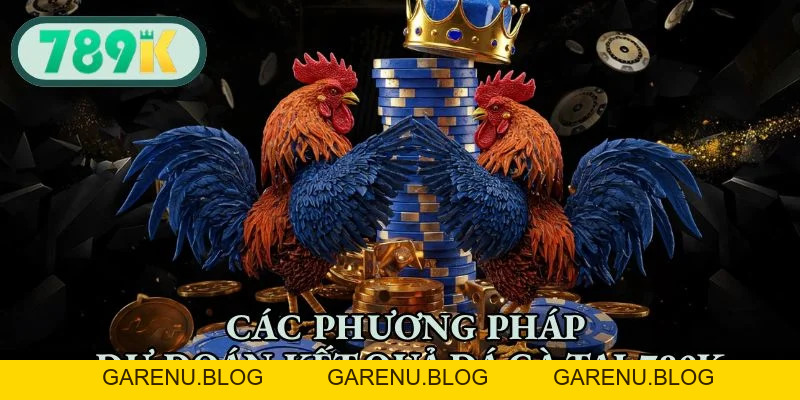 Đá Gà 789K - Đấu Trường Sôi Động, Cá Cược Hấp Dẫn 2026