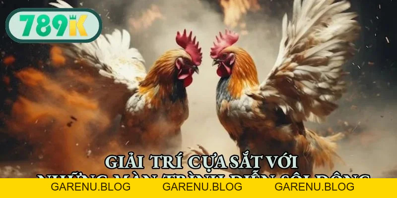 Đá Gà 789K - Đấu Trường Sôi Động, Cá Cược Hấp Dẫn 2026