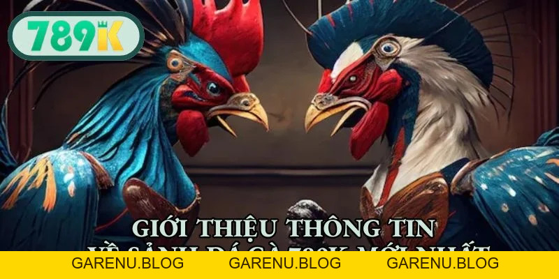 Đá Gà 789K - Đấu Trường Sôi Động, Cá Cược Hấp Dẫn 2026